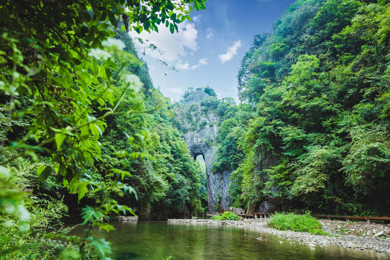 龙桥河景区.png