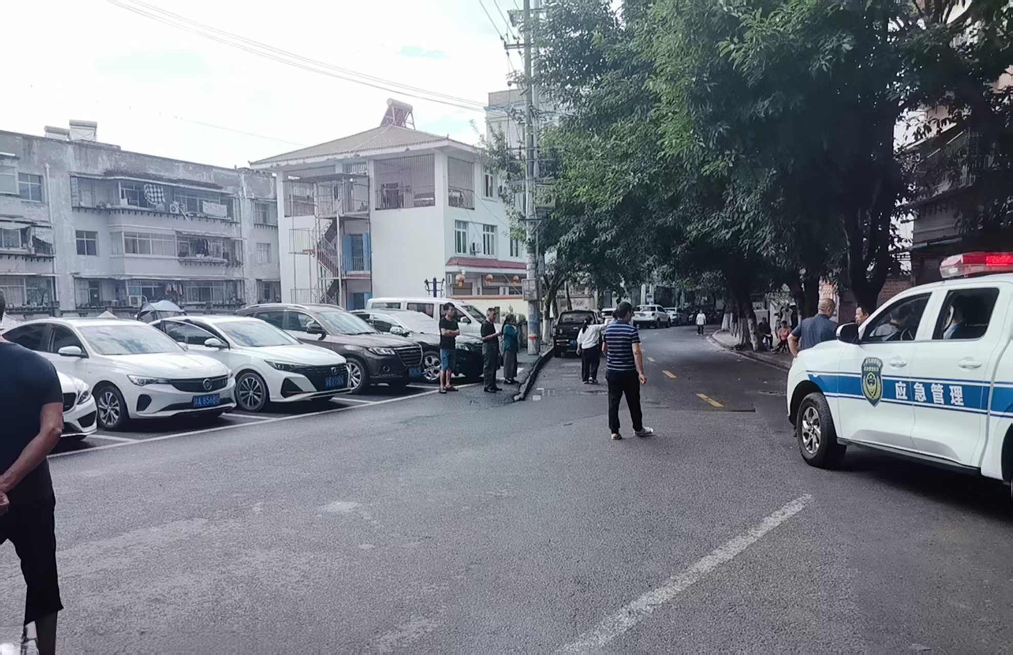 图片1.jpg