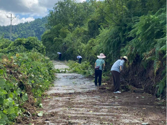 20260720汾河镇水洞村:文明积分赋能村道整治 基层自治共建美丽乡村.png